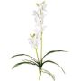 Orchidea artificiale Dendrobium Sonia NELTI, bastoncino, radici, bianca, 60 cm