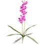 Orchidea artificiale Dendrobium Sonia NELTI, stelo, radici, lilla, 60 cm