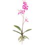 Orchidea artificiale Phalaenopsis MALZA, stelo, radici, cerise, 55 cm