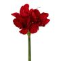 Fiore artificiale amarillide WELBA, rosso, 65 cm