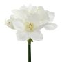 Fiore artificiale amarillide WELBA, bianco, 65 cm