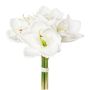 Mazzo di fiori artificiali Amaryllis LOMIRE, bianco, 30cm