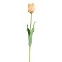 Fiore artificiale tulipano SOLAL, albicocca, 65 cm