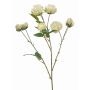 Ramo artificiale di cavolo rosa TRUVOL, bianco-verde, 65 cm