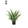 Agave americana artificiale ZURNAL in vaso decorativo, crossdoor, verde, 70 cm