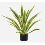 Agave americana artificiale ZURNAL in vaso decorativo, crossdoor, verde-giallo, 70 cm