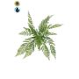Pianta artificiale felce femmina STIGOR su bastoncino, crossdoor, verde, 55 cm