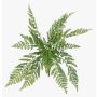 Pianta artificiale felce femmina STIGOR su bastoncino, crossdoor, verde, 55 cm