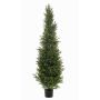 Cedro artificiale ZARGEN, crossdoor, verde, 150 cm