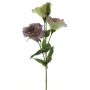 Lisianthus artificiale ALARONA, viola-verde, 55 cm