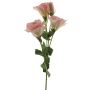 Lisianthus finto ALARONA, rosa-crema, 55 cm