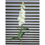 Fiore artificiale Levkoje BARIADE, bianco crema, 85 cm