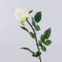 Rosa artificiale SUNJIK, crema, 75cm, Ø7cm