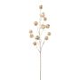 Ramo artificiale Physalis FRILTE con frutti, champagne metallizzato, 90 cm