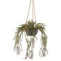 Fioriera decorativa Rhipsalis pilocarpa VEXORY, vaso decorativo, sospeso, verde, 80 cm