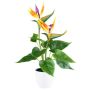 Fiore artificiale Strelitzia VELKORN in vaso decorativo, arancione-viola, 40 cm