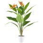 Fiore artificiale Strelitzia VELKORN in vaso decorativo, arancione-viola, 80 cm