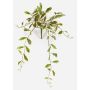 Pianta artificiale fiore di porcellana YLFES su bastoncino, pendente, verde, 50 cm