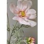 Ramo decorativo con fiori di margherita HIKJAN, rosa-bianco, 80 cm