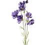 Ramo decorativo con corioli HISSAN, viola scuro, 75 cm
