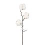 Ramo decorativo cotone SKLAVAN con frutti, bianco, 45 cm