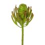 Fiore artificiale albero argentato GROVEN, verde, 50 cm
