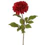 Dalia vellutata TINFAS, rosso scuro, 60 cm, Ø 13 cm