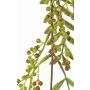 Ramo di sorbo artificiale JANNAH con frutti, verde, 130cm
