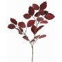 Ramo di faggio vellutato GALFHY, rosso bordeaux, 70cm