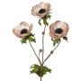 Ramo di anemone in velluto WINFAS, rosa delicato, 75 cm