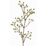 Ramo decorativo di rosa selvatica HIKERNO con bacche di rosa canina, verde, 60cm