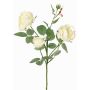 Ramo di rosa artificiale DIAMANTIS, crema, 70 cm, Ø 5-8 cm