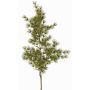 Ramo artificiale di asparagus umbellatus DIKERNO, verde, 75cm