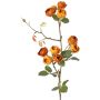 Ramo artificiale di cavolo rosa LORRAINE, Eco Collection, giallo-arancio, 65 cm, Ø 2,5 cm