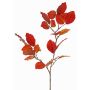Ramo decorativo di faggio LOPERDY, rosso-arancio, 70cm