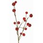 Ramo artificiale di melo ornamentale NONGIH con frutti, rosso scuro, 60cm