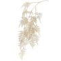 Ramo decorativo Asparagus plumosus MELFHY, pendente, argento metallizzato-oro, 130 cm
