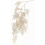 Ramo decorativo Asparagus plumosus MELFHY, pendente, argento metallizzato-oro, 130cm