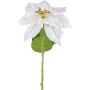Fiore artificiale stella di Natale JORTI, bianco, 60cm