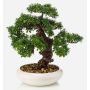 Bonsai artificiale Ficus MIRSANDA in vaso bonsai, 35cm