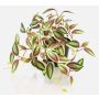 Pianta artificiale Tradescantia zebrina DIHALLO in vaso decorativo, verde-rosso, 19 cm
