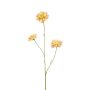 Ramo decorativo Scabiosa DIHALLY, giallo-pesca, 80 cm