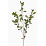 Ramo decorativo Rusco LOVRIS con fiori, verde-giallo, 90 cm