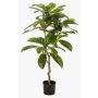 Albero artificiale Frangipani MORSHA, tronco artificiale, verde, 110 cm