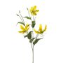 Ramo decorativo Gloriosa TROFEL, giallo-verde, 90 cm