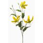 Ramo decorativo Gloriosa TROFEL, giallo-verde, 90 cm