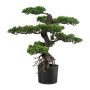 Albero artificiale bonsai pianta del tè KEFIEL con radici, 65 cm