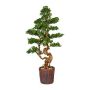 Albero decorativo bonsai larice WOME in vaso di magnesio, 125 cm