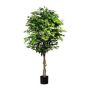 Albero artificiale Ficus Benjamini ARNOMO, tronchi naturali, 180 cm