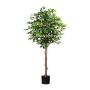 Albero decorativo Ficus Benjamini ONIN, tronchi naturali, 180 cm